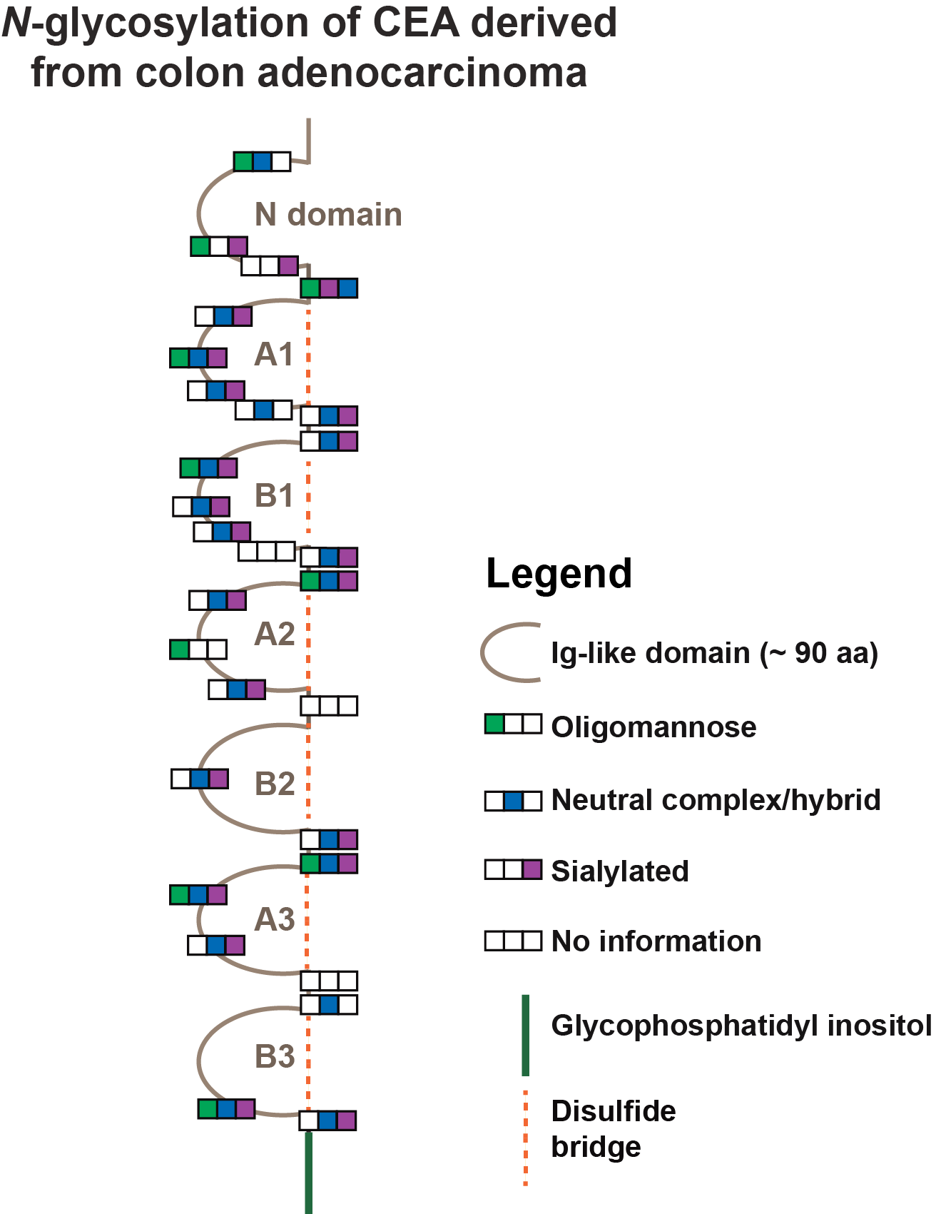 5a0d3669b6790-CEA+molecule+of+colon+adenocarcinoma_medium.png