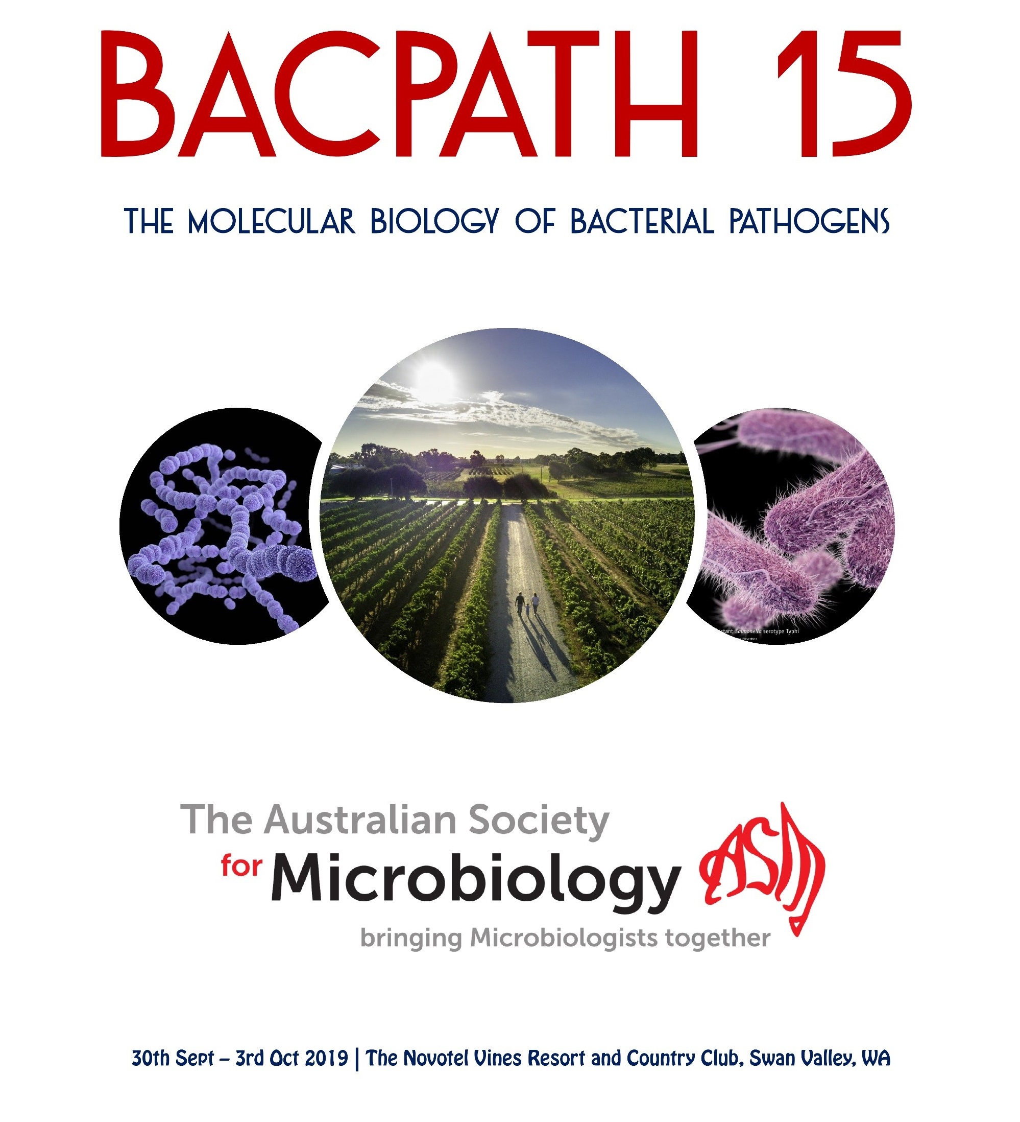 BacPath_151569299784.jpg