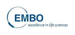 EMBO_00_001643757602.jpg