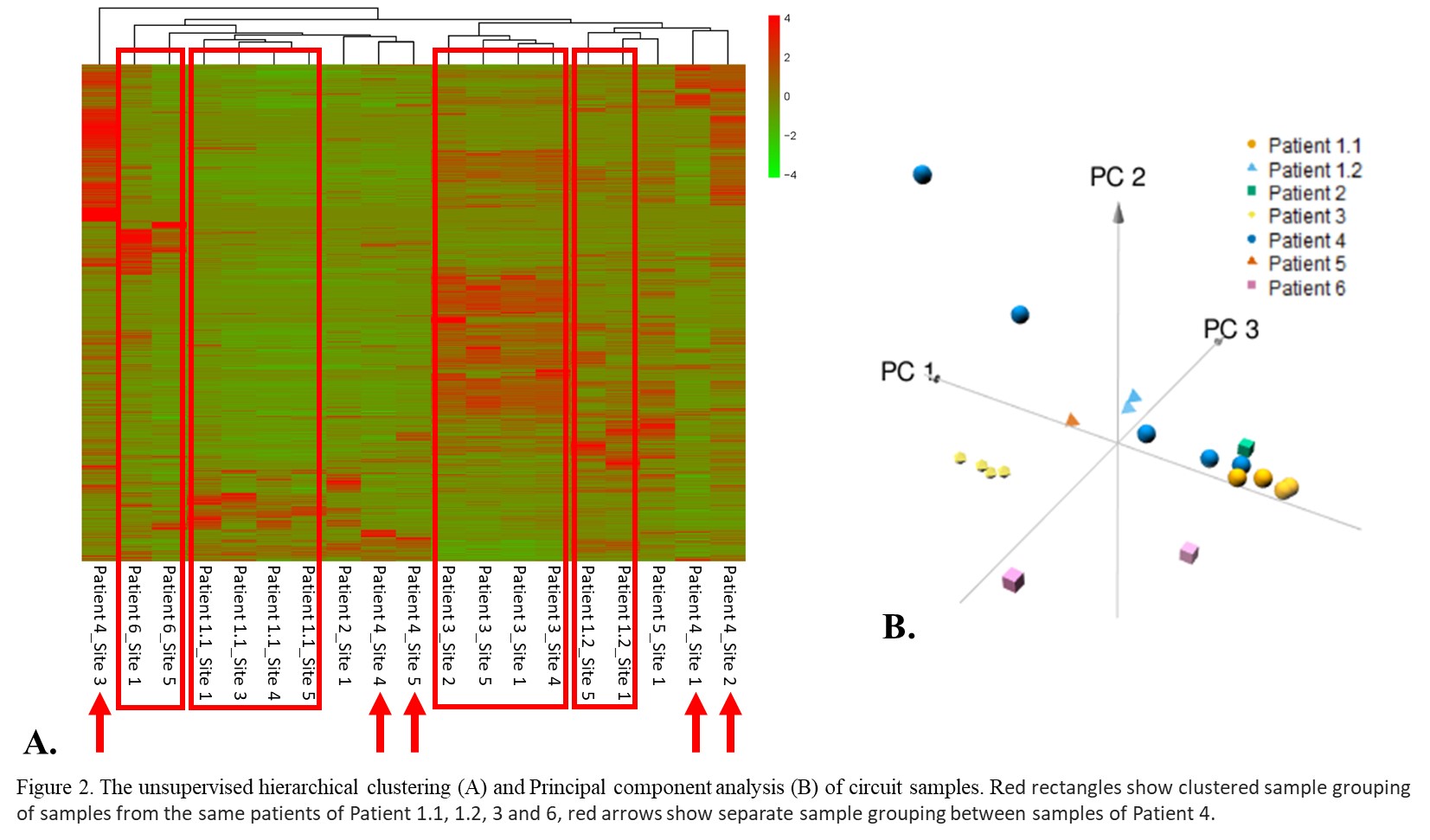 636c7953b13a6-Figure+2.+The+unsupervised+hierarchical+clustering+and+Principal+component+analysis+of+circuit+samples.jpg