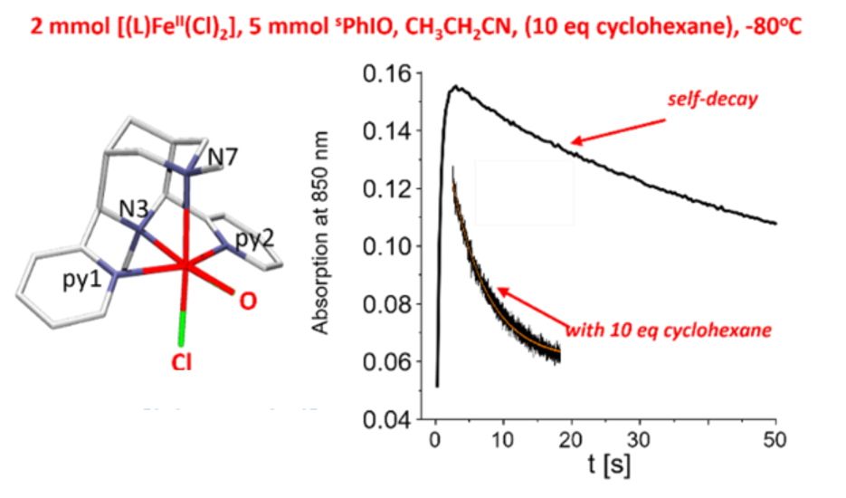 67ae66d4901f4-Picture+3.png