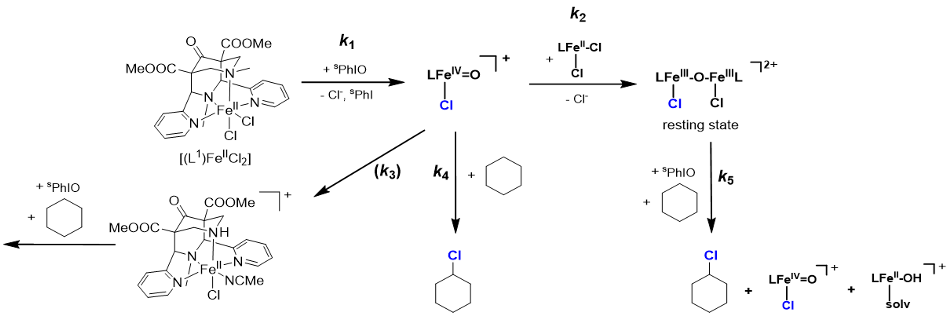67ae66d4901f4-Picture+4.png