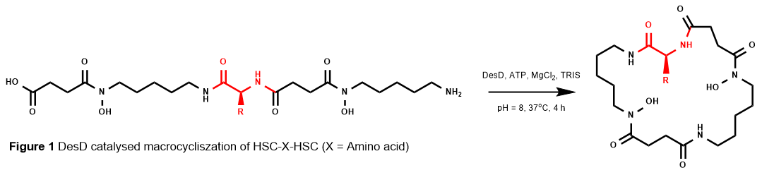 67d74d11586ae-Abstract+Graphic.png
