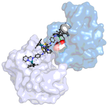 67df59a39125c-ICBIC_Fig1.png