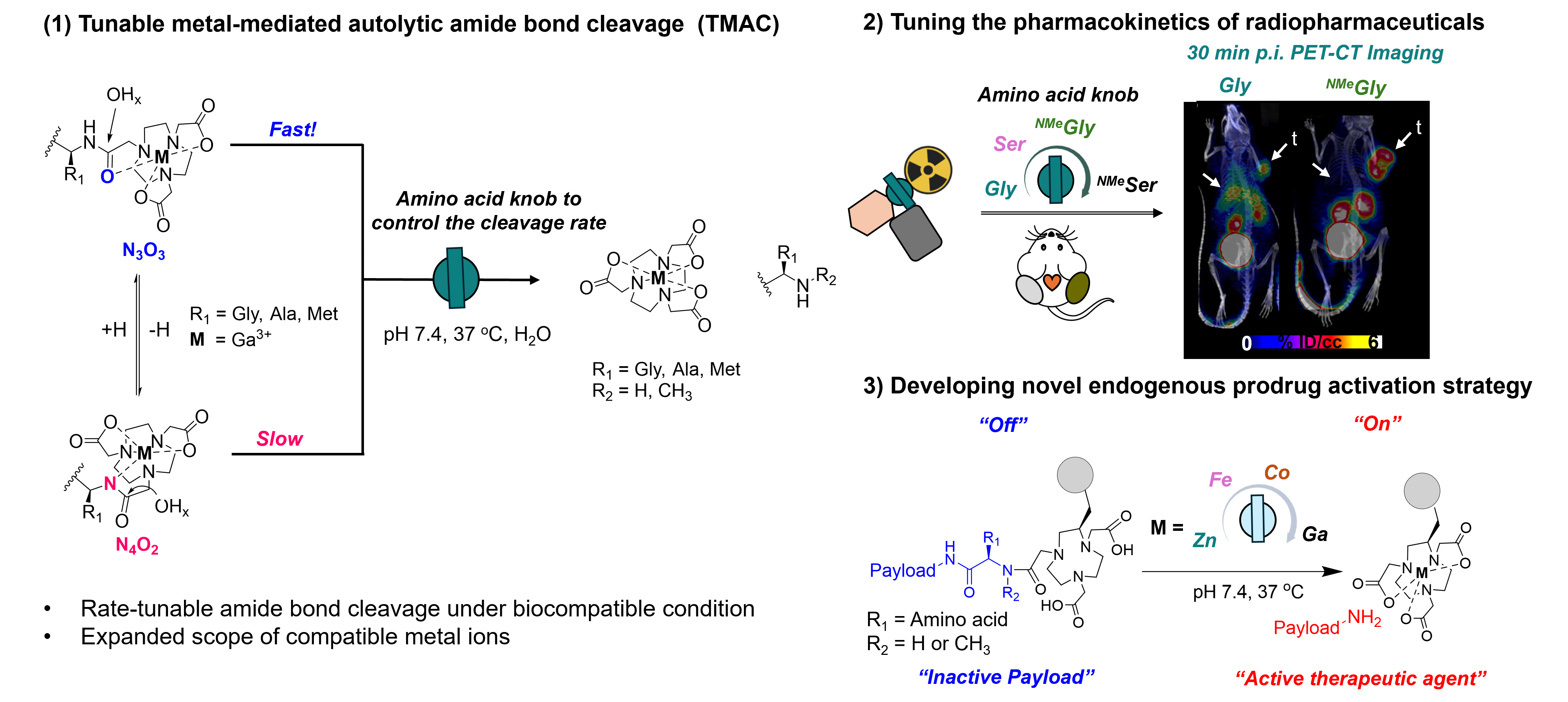 67e76ec19cd2c-Figure_3.png