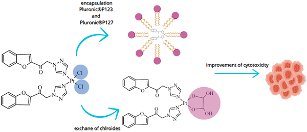 67e6a52daeccd-Figure+1.+Strategies+to+improve+cytotoxic+properties+of+complex+(1).png