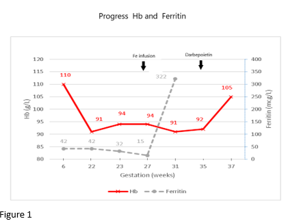 6868aee55164e-Progress+Hb+and+Ferritin.png