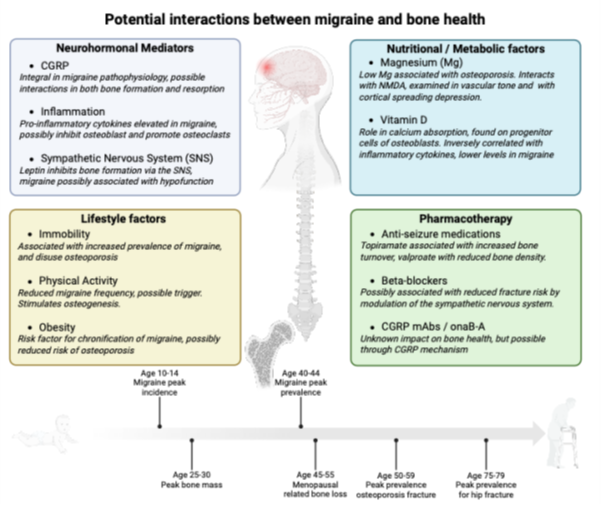 6a469b5edf022-Figure+3+Summary+of+potential+interactions+between+migraine+and+osteoporosis+pathophysiology+and+risk+factors.png